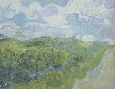 Vincent Van Gogh Green Wheat Fields (nn04) oil painting image